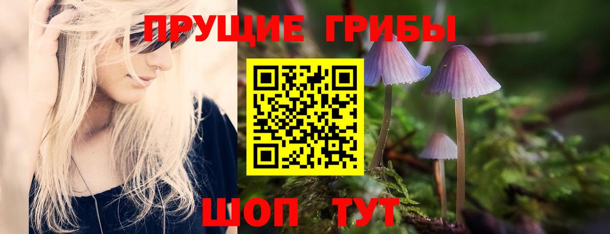 Валуйки  Псилоцибиновые грибы Cubensis  Вход с VPN 