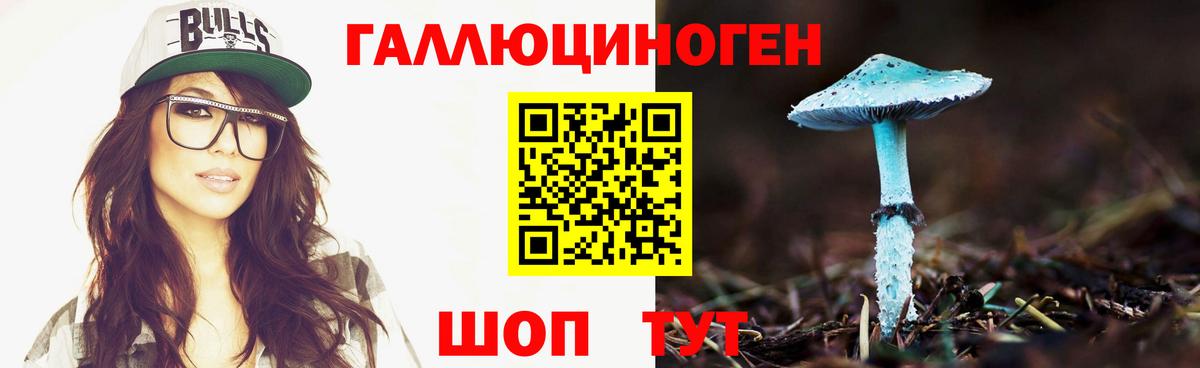 Псилоцибиновые грибы Cubensis Валуйки